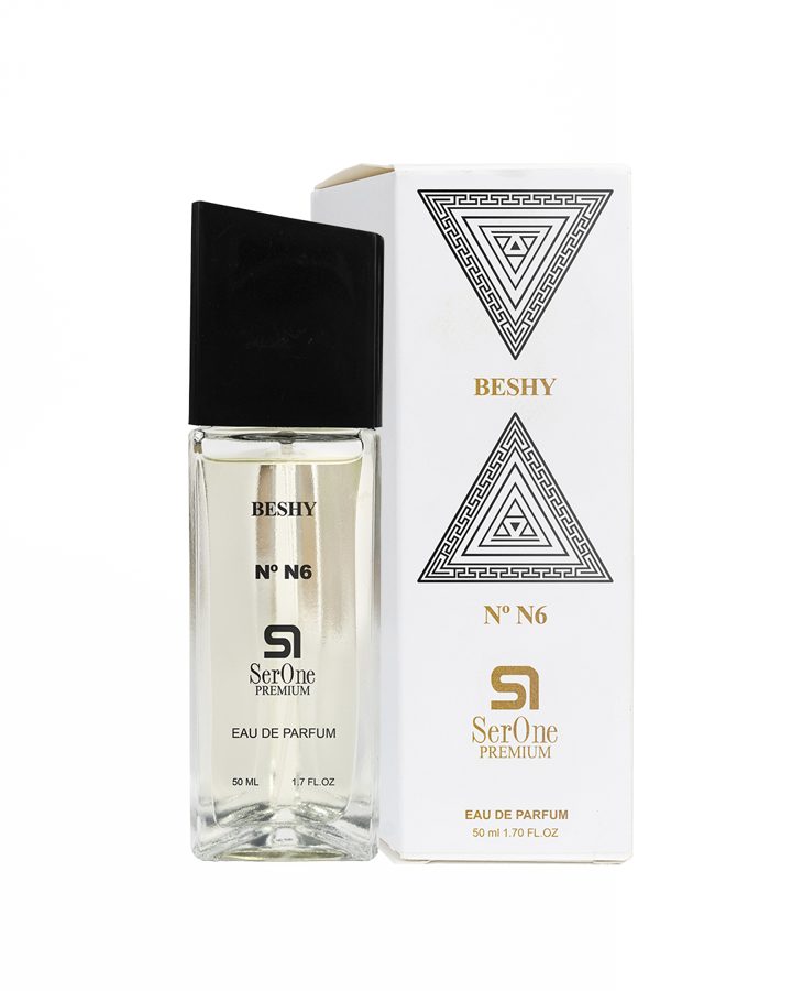 NºN6 – BESHY